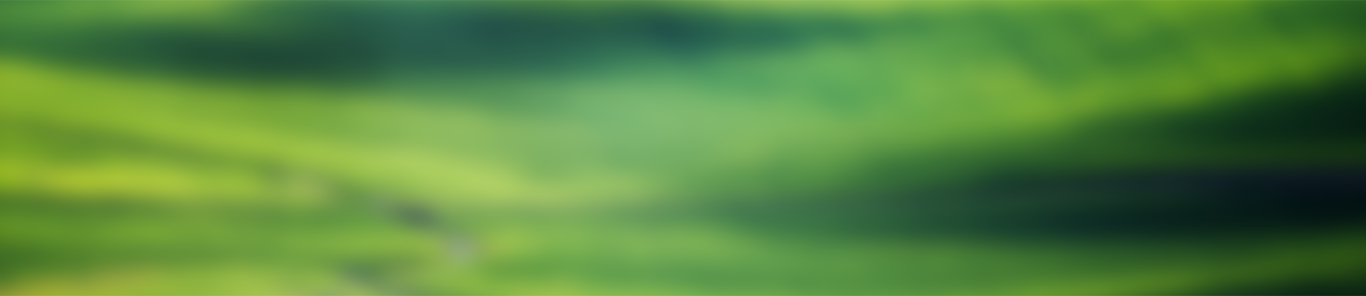 精选素材内页横幅